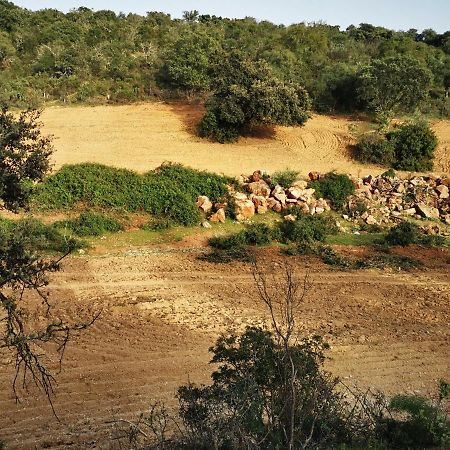 La Fuensanta Villa Hornachuelos Eksteriør bilde