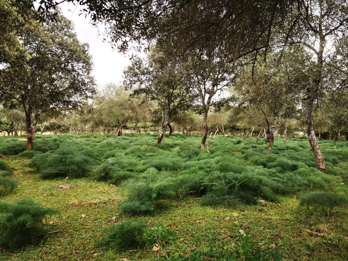 La Fuensanta Villa Hornachuelos Eksteriør bilde