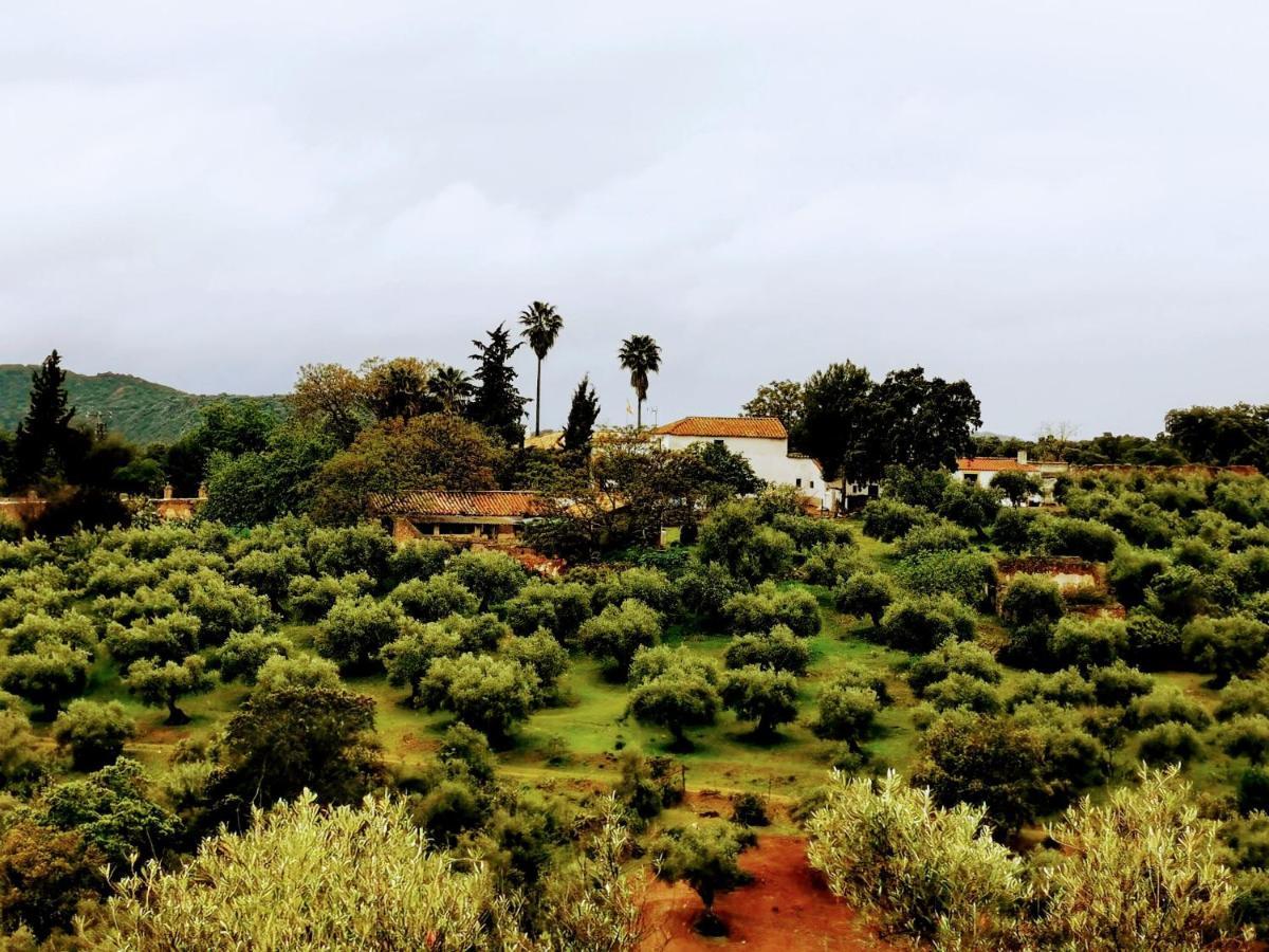 La Fuensanta Villa Hornachuelos Eksteriør bilde